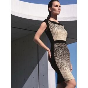 Joseph Ribkoff Ombré Ponte Knit Sheath Dress Career Fitted Structure Dot